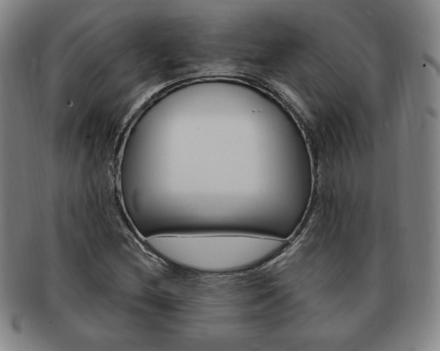 X0000091641212200708230940