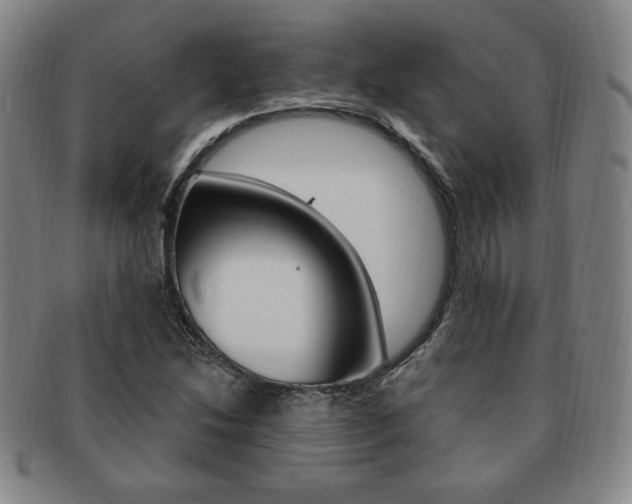 X0000091641214200708230940