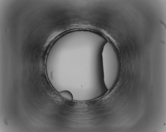X0000091641215200708230940