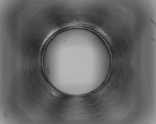 X0000091641216200708230941
