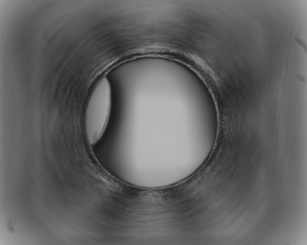 X0000091641217200708230941