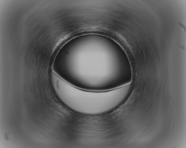 X0000091641218200708230941