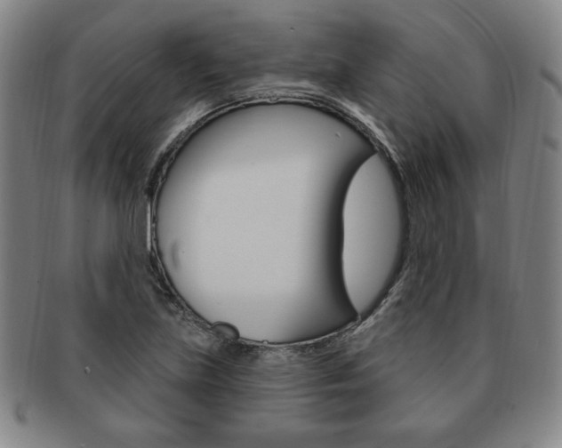X0000091641219200708230941