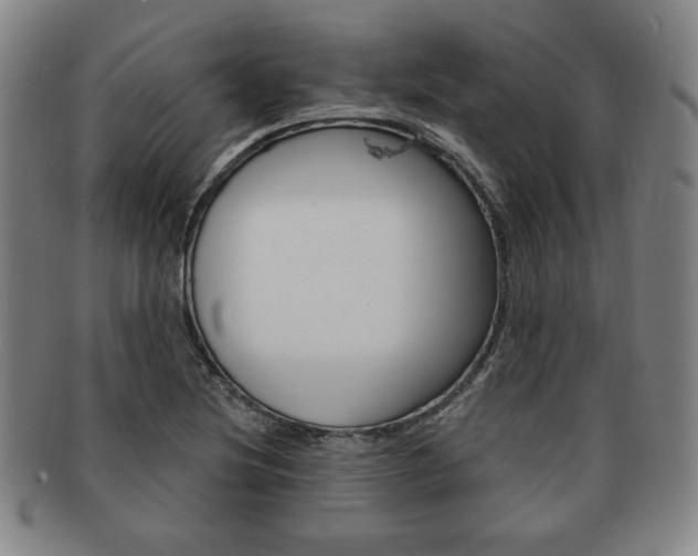 X0000091641220200708230941