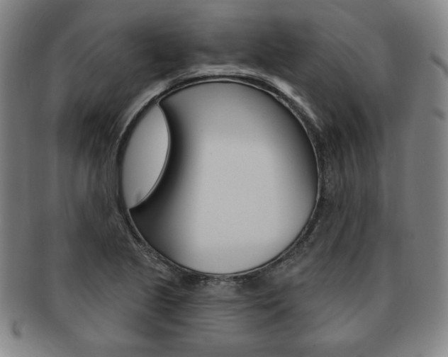 X0000091641221200708230941