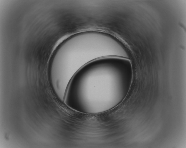 X0000091641222200708230941