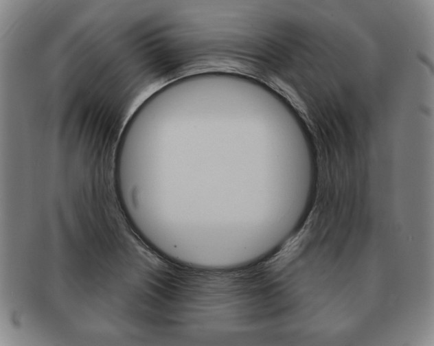 X0000091641226200708230941