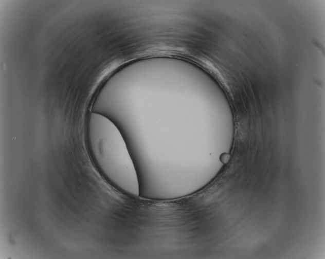 X0000091641227200708230941
