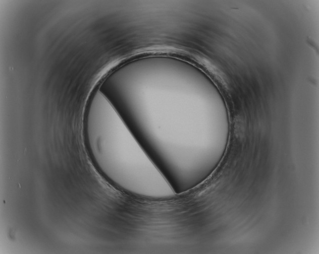 X0000091641229200708230941
