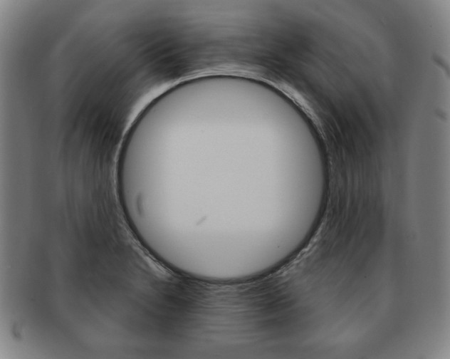 X0000091641230200708230941