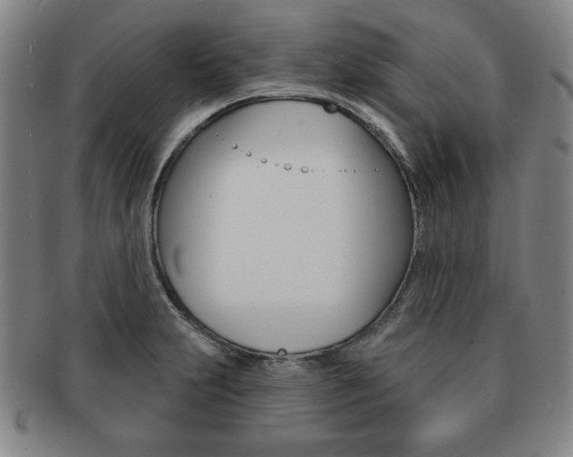 X0000091641231200708230941