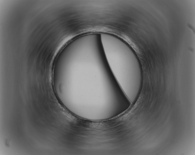 X0000091641232200708230941