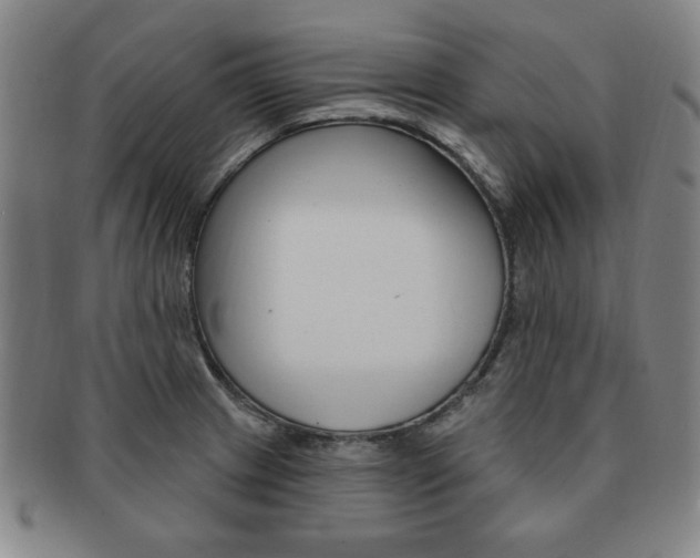 X0000091641233200708230941