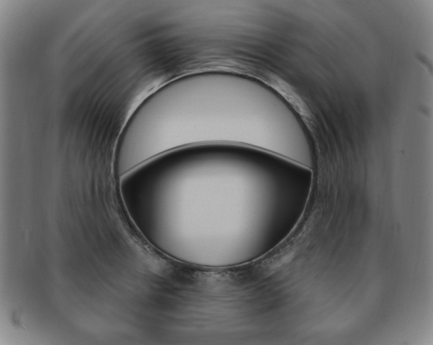 X0000091641234200708230941