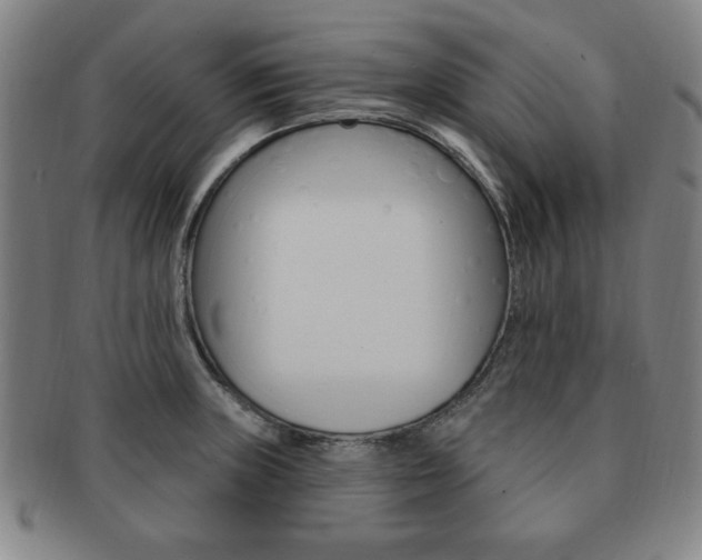 X0000091641235200708230941