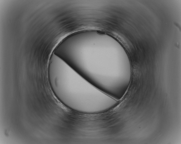 X0000091641236200708230941