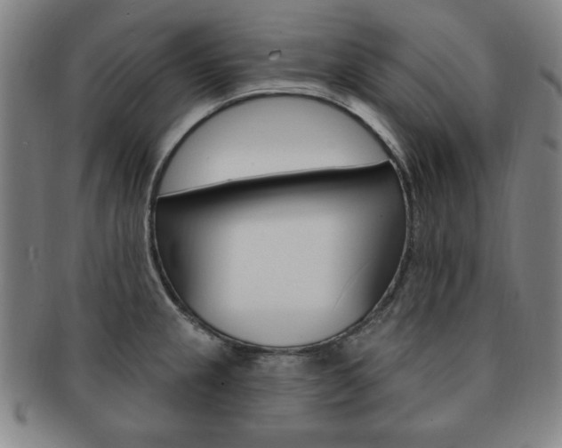 X0000091641237200708230941
