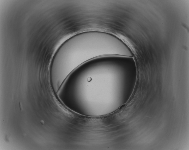X0000091641238200708230941