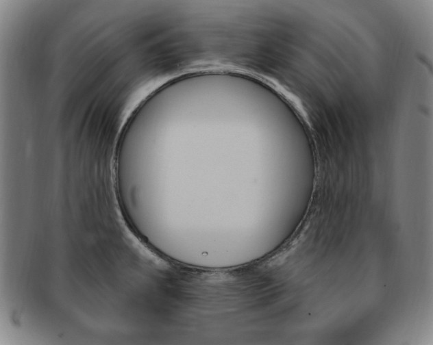 X0000091641239200708230941