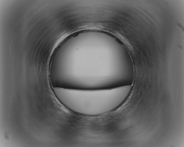X0000091641240200708230941