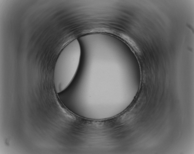 X0000091641241200708230941