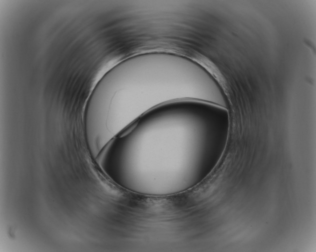X0000091641242200708230941