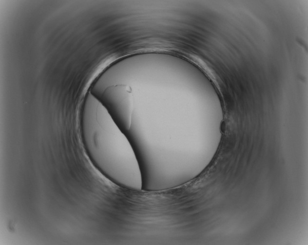 X0000091641243200708230941
