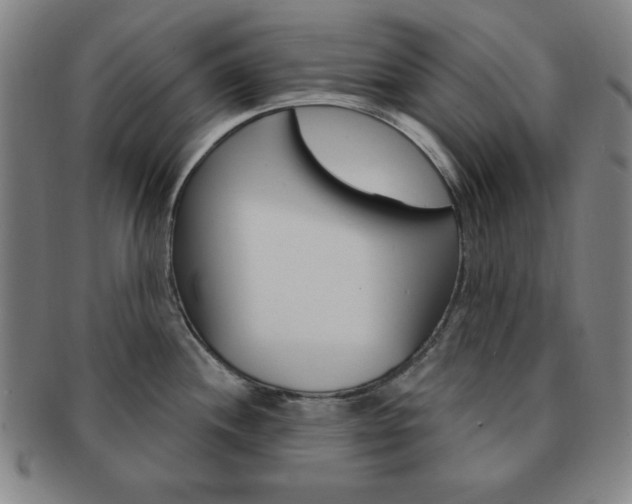 X0000091641244200708230941