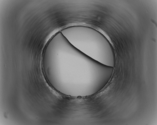 X0000091641245200708230941