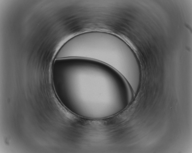 X0000091641246200708230941