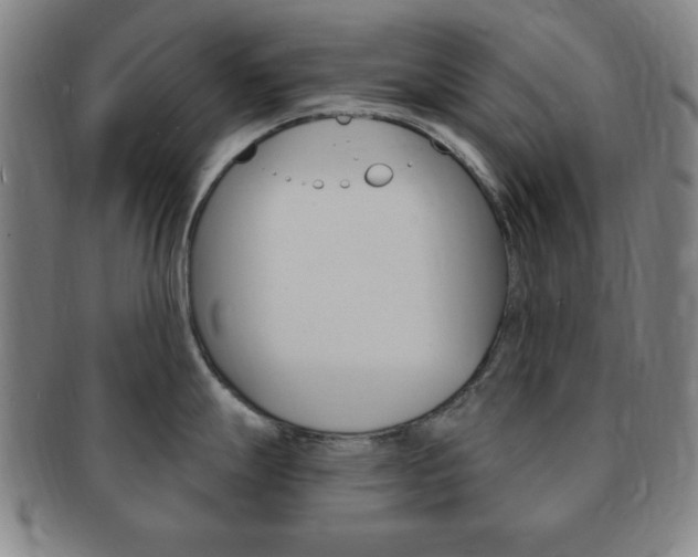 X0000091641247200708230941
