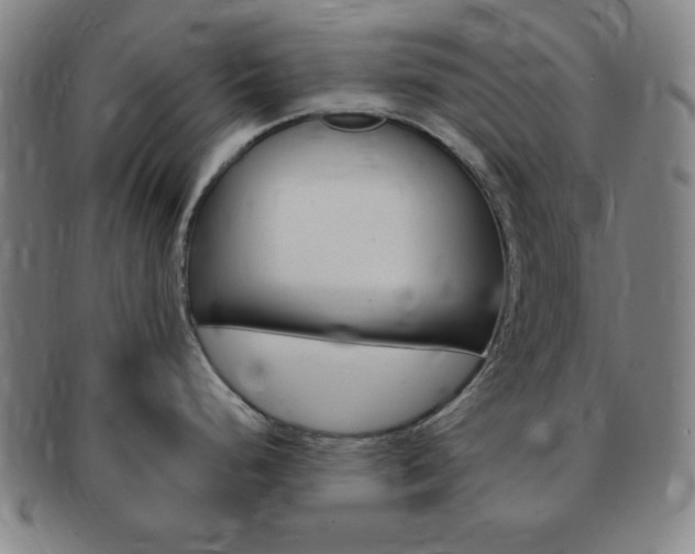 X0000091641248200708230941