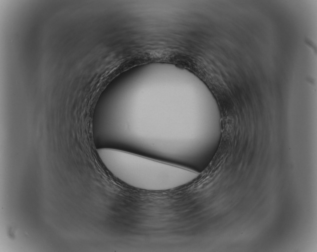 X0000091641249200708230940