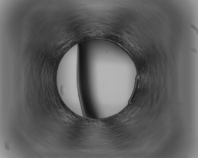 X0000091641250200708230940