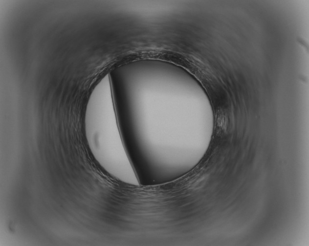 X0000091641252200708230940