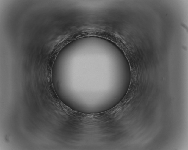 X0000091641253200708230940