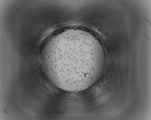X0000091641255200708230940