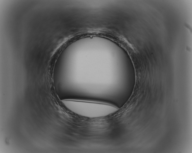 X0000091641256200708230940