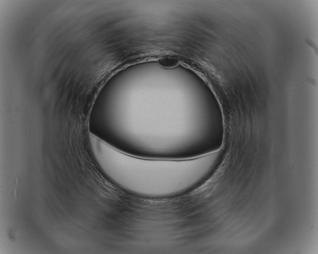 X0000091641257200708230940