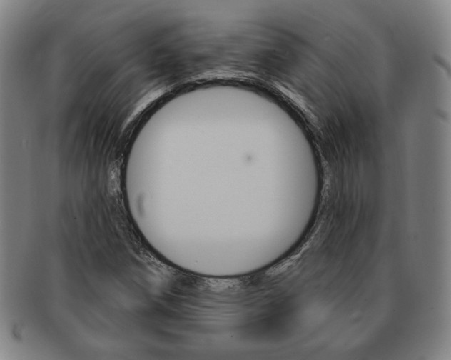 X0000091641258200708230940
