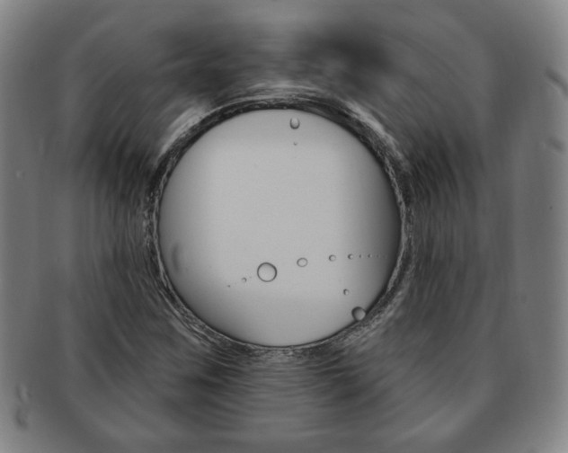 X0000091641259200708230940