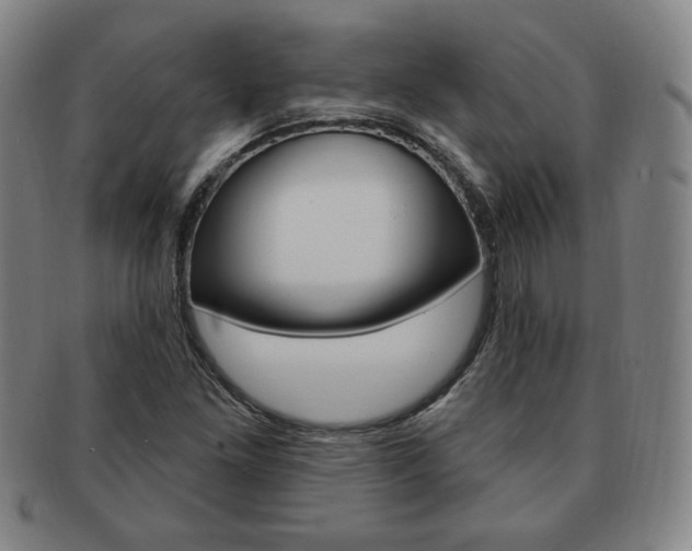 X0000091641261200708230940