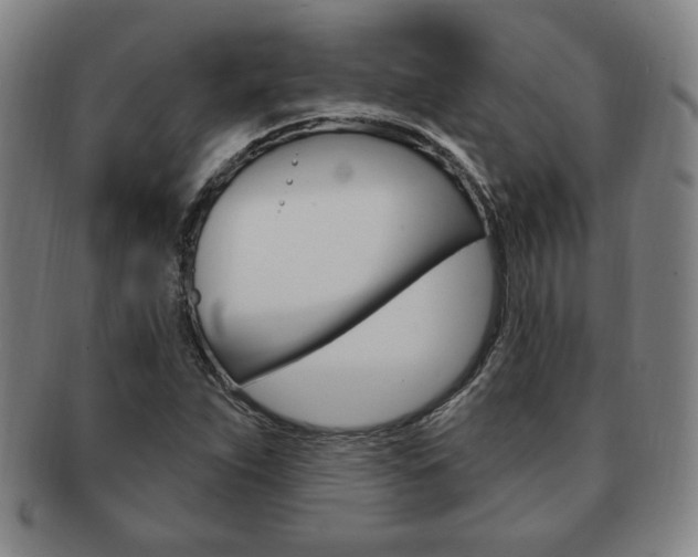 X0000091641263200708230940