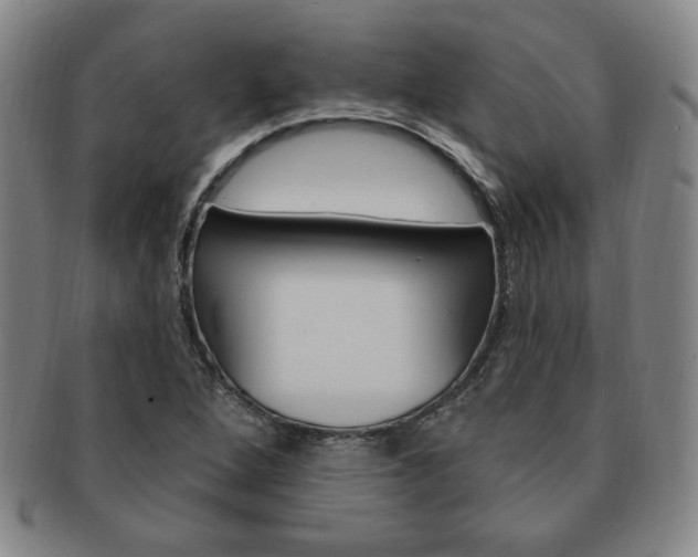 X0000091641264200708230940