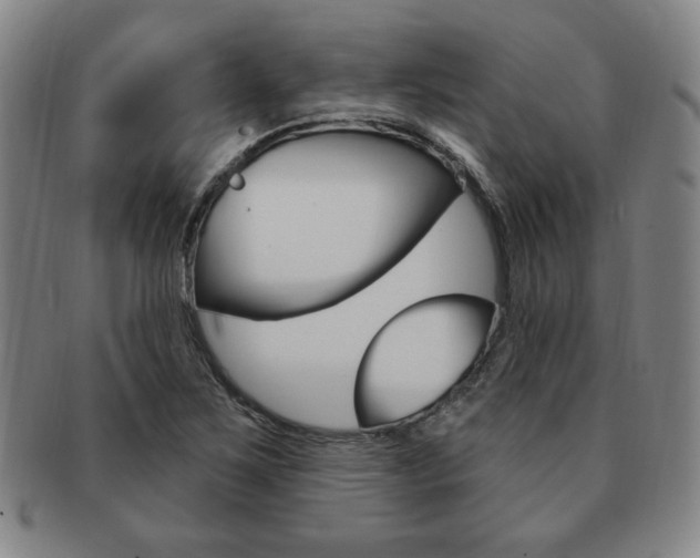 X0000091641267200708230940