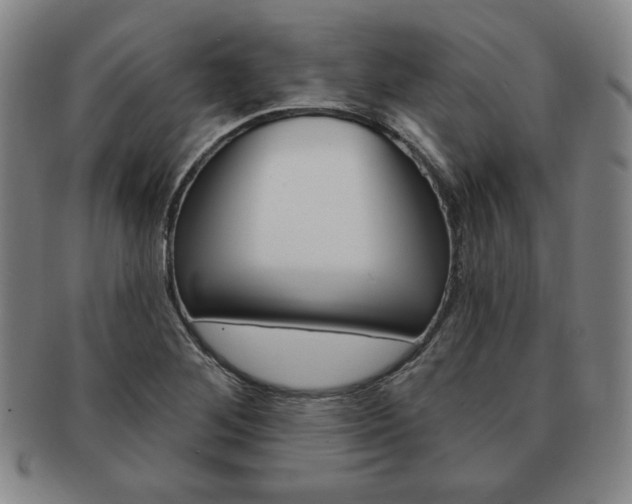 X0000091641268200708230940