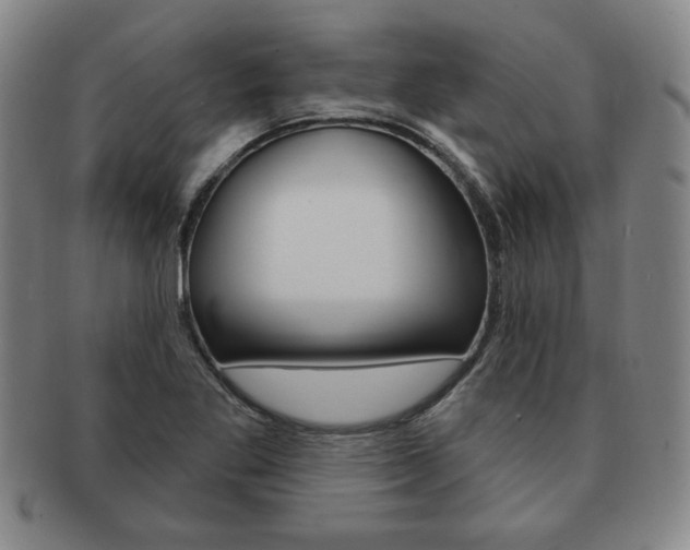 X0000091641269200708230940