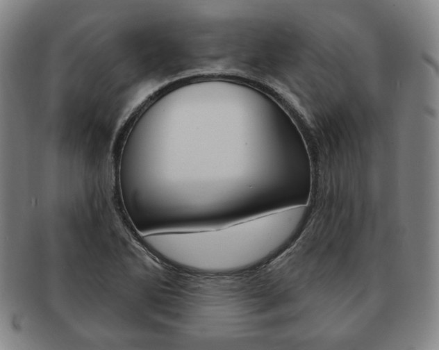 X0000091641270200708230940