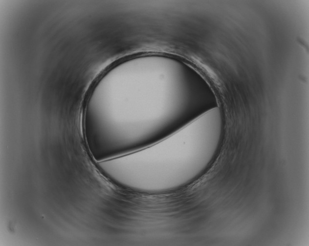 X0000091641272200708230940