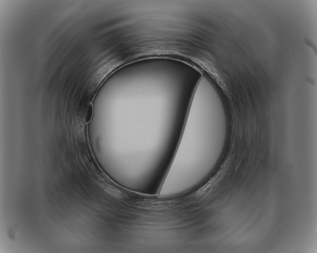X0000091641273200708230940